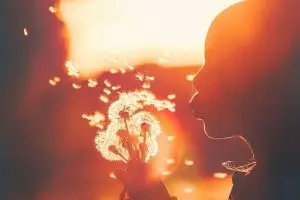 Tres principios y actividades para aplicar en tu proyecto de vida 2022(6)