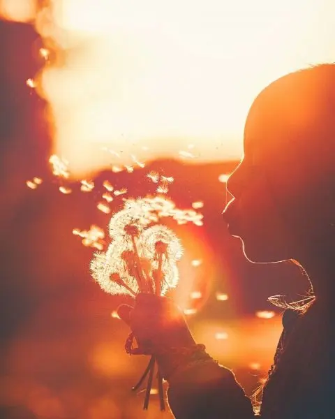 Tres principios y actividades para aplicar en tu proyecto de vida 2022(6)